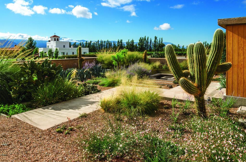 Adobe Charm Villa Cafayate Luaran gambar